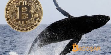 bitcoin balinaları