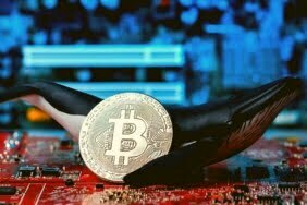 Bitcoin Balinaları Pastanın Büyük Bölümünü Ele Geçiriyor
