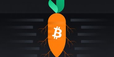 Bitcoin Taproot