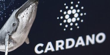 Cardano