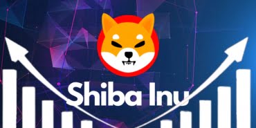 Shiba Inu