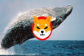 ethereum balinalari neden shiba inu shib satin aliyor