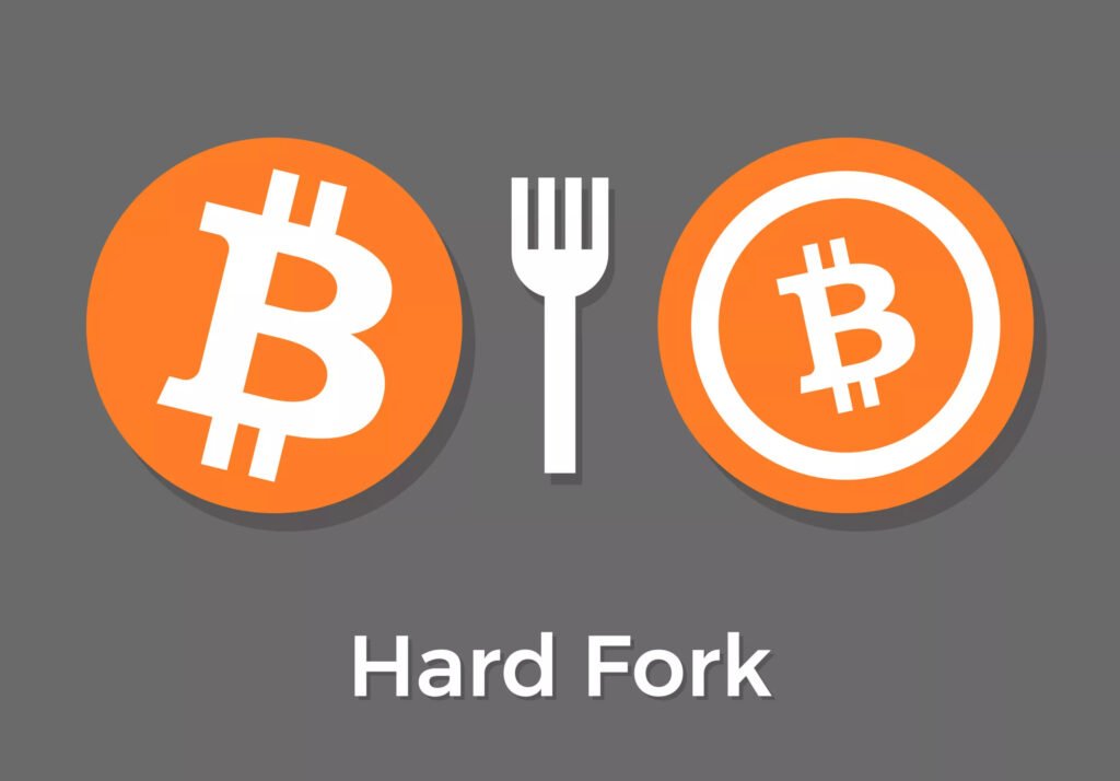 hard fork nedir